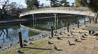 dsc00076_thumb.jpg