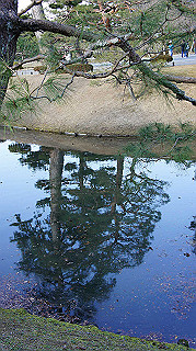 dsc00101_thumb.jpg