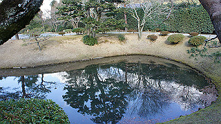 dsc00102_thumb.jpg