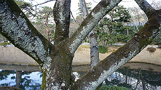 dsc00103_thumb.jpg