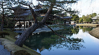 dsc00105_thumb.jpg