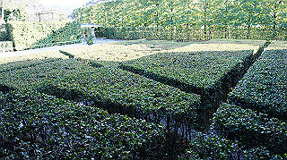 dsc00113_thumb.jpg