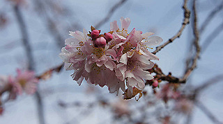 dsc00020_thumb.jpg