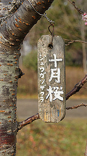 dsc00024_thumb.jpg