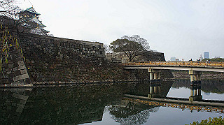 dsc00029_thumb.jpg