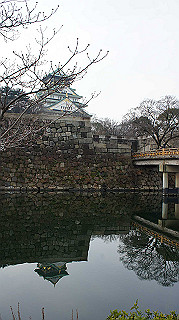 dsc00033_thumb.jpg