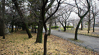 dsc00036_thumb.jpg
