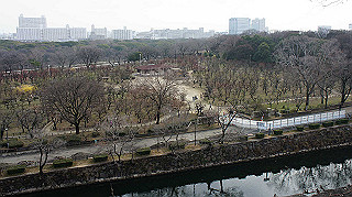 dsc00038_thumb.jpg