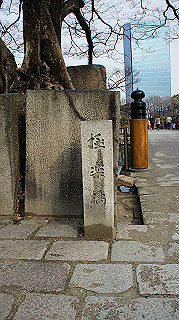 dsc00052_thumb.jpg