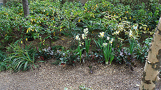 dsc00065_thumb.jpg
