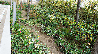 dsc00068_thumb.jpg