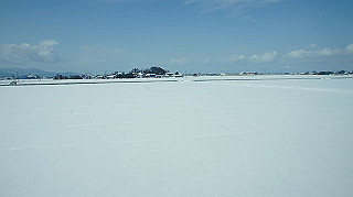 dsc00055_thumb.jpg