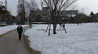 dsc00050_thumb.jpg
