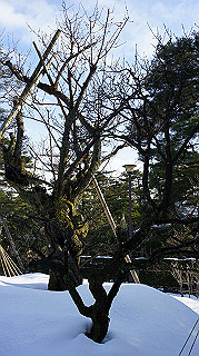 dsc00074_thumb.jpg
