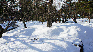 dsc00080_thumb.jpg