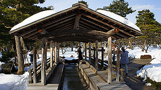 dsc00082_thumb.jpg
