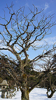 dsc00084_thumb.jpg