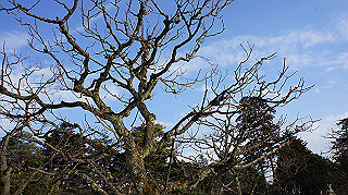dsc00085_thumb.jpg