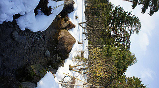 dsc00087_thumb.jpg