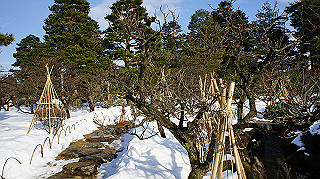dsc00090_thumb.jpg