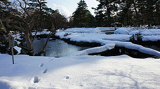 dsc00146_thumb.jpg