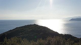 dsc00034_thumb.jpg