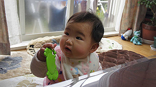 dsc00006_thumb.jpg
