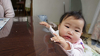 dsc00016_thumb.jpg