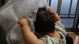 dsc_0131_thumb.jpg