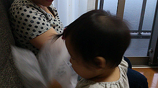 dsc_0132_thumb.jpg