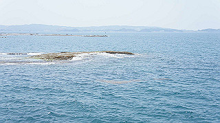 dsc00009_thumb.jpg