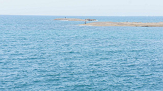 dsc00010_thumb.jpg