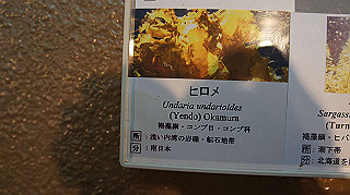 dsc00040_thumb.jpg