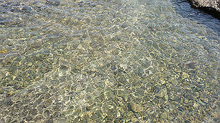 dsc00069_thumb.jpg