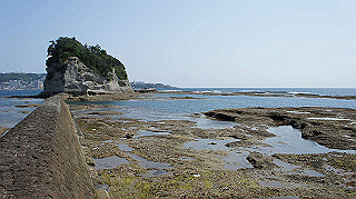 dsc00073_thumb.jpg