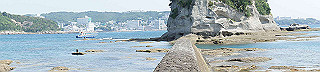 dsc00078_thumb.jpg