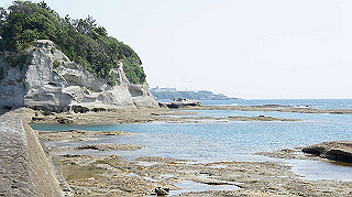 dsc00082_thumb.jpg