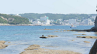 dsc00083_thumb.jpg