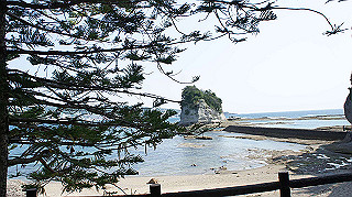 dsc00088_thumb.jpg