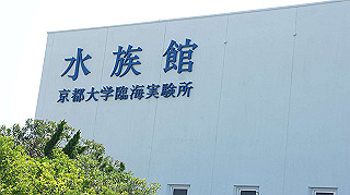 dsc00092_thumb.jpg