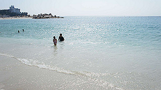 dsc00109_thumb.jpg