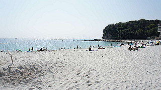 dsc00129_thumb.jpg