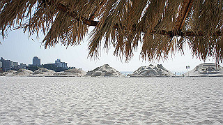 dsc00139_thumb.jpg