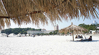 dsc00140_thumb.jpg