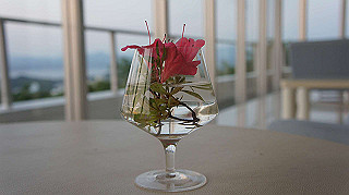dsc00178_thumb.jpg