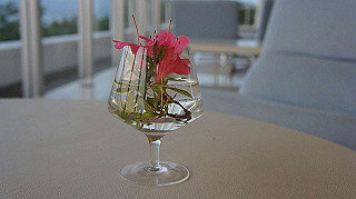dsc00179_thumb.jpg