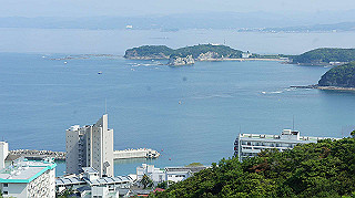 dsc00196_thumb.jpg