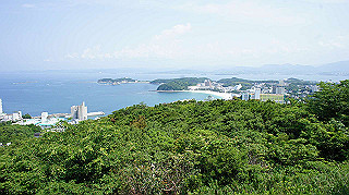 dsc00224_thumb.jpg