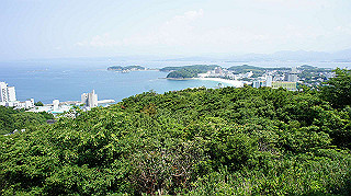 dsc00225_thumb.jpg