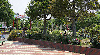 dsc00245_thumb.jpg